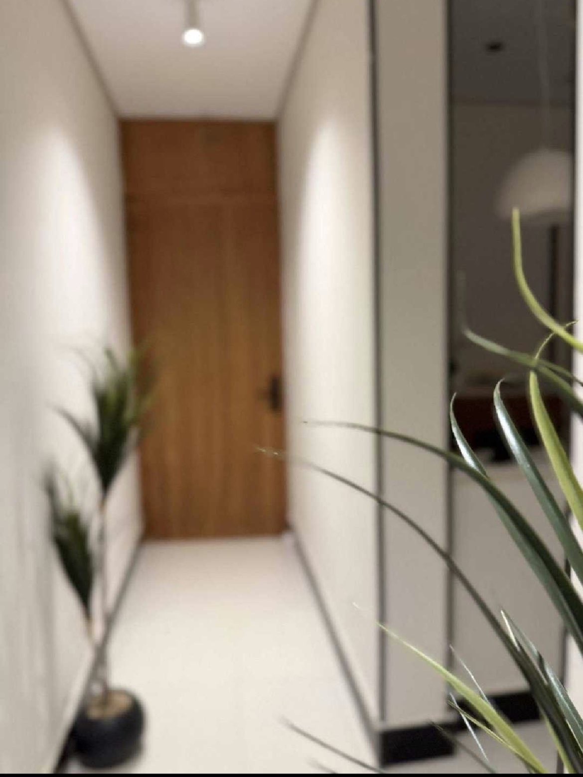 real-estate-image