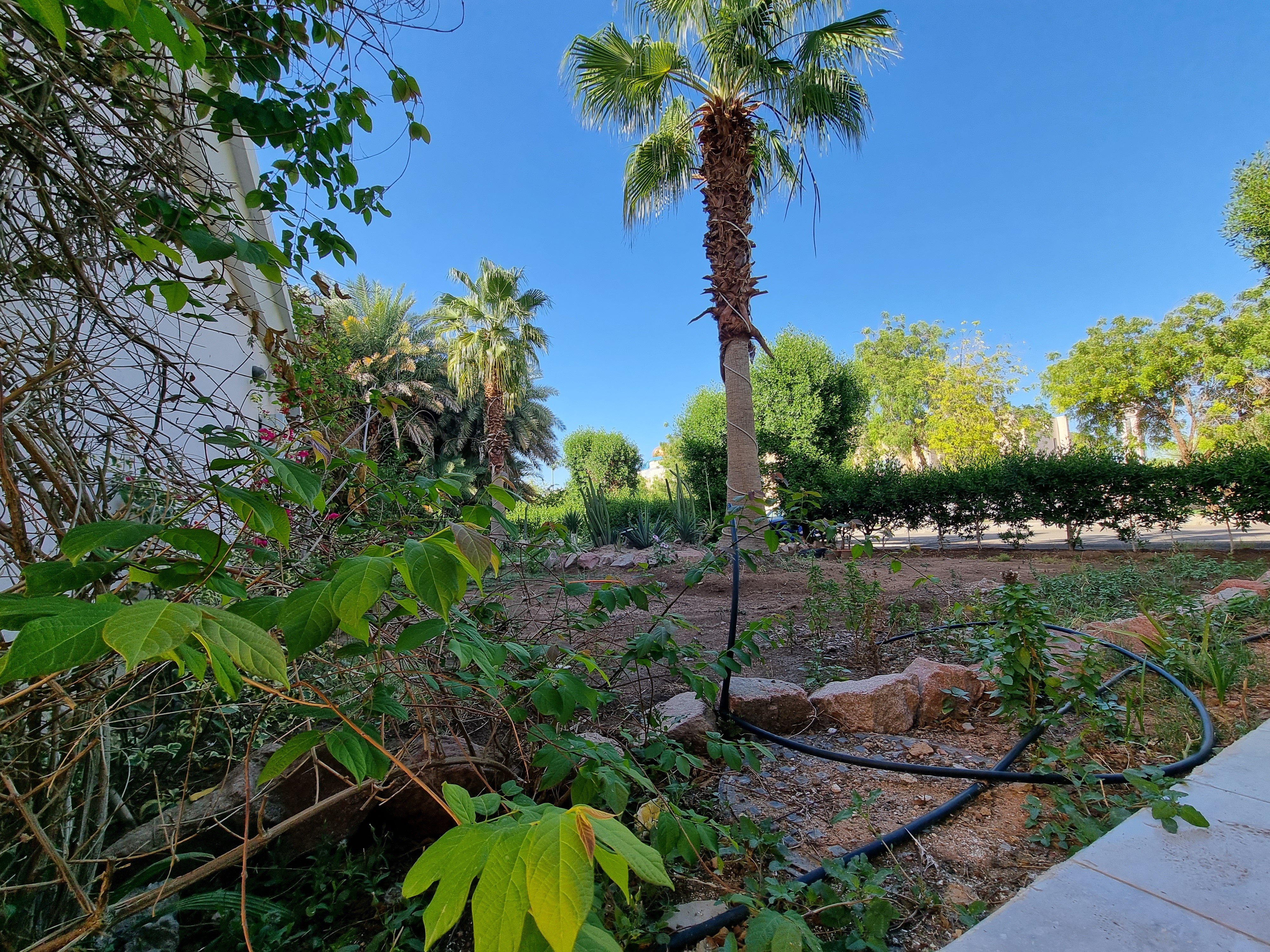 real-estate-image