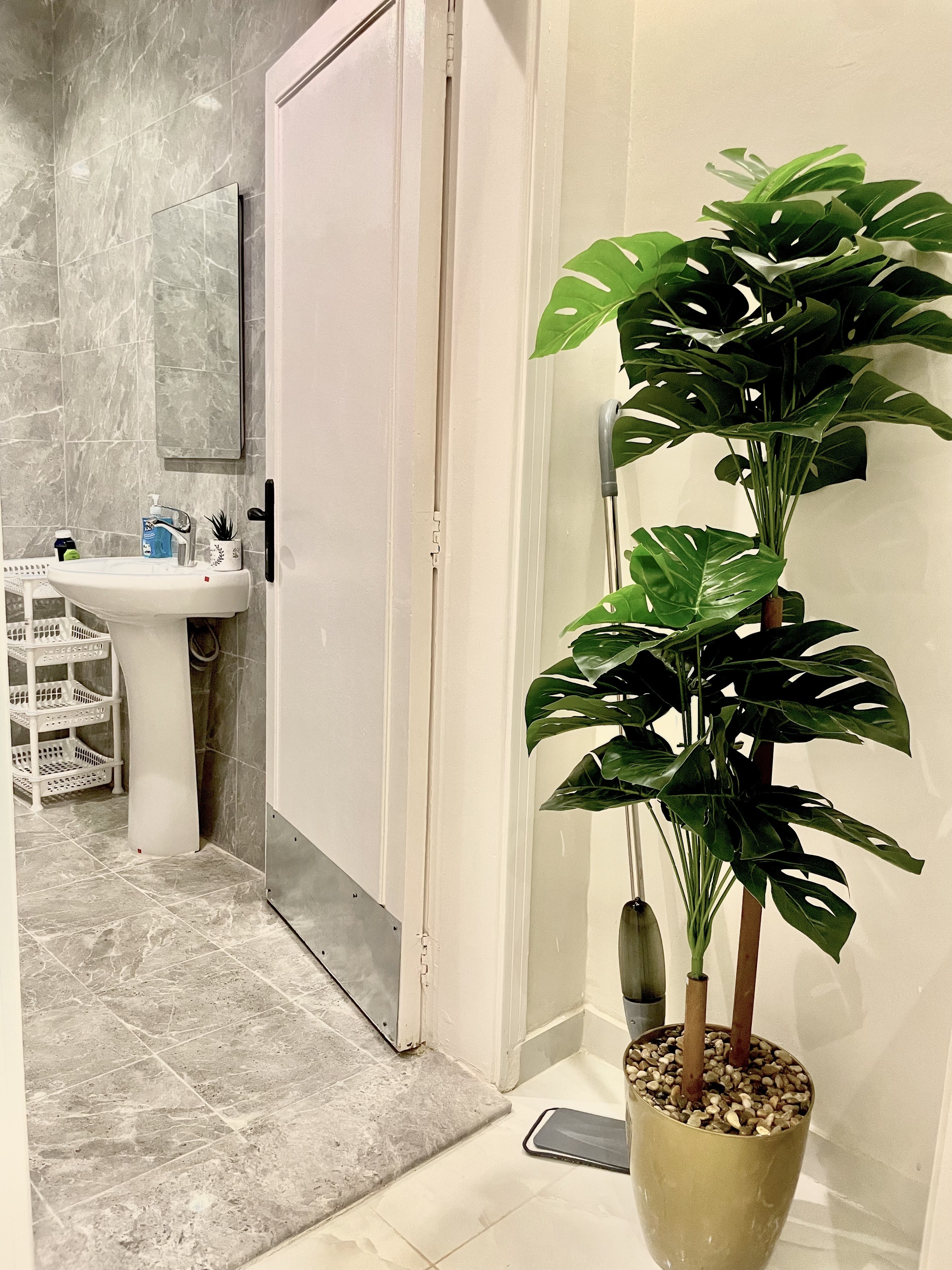 real estate image