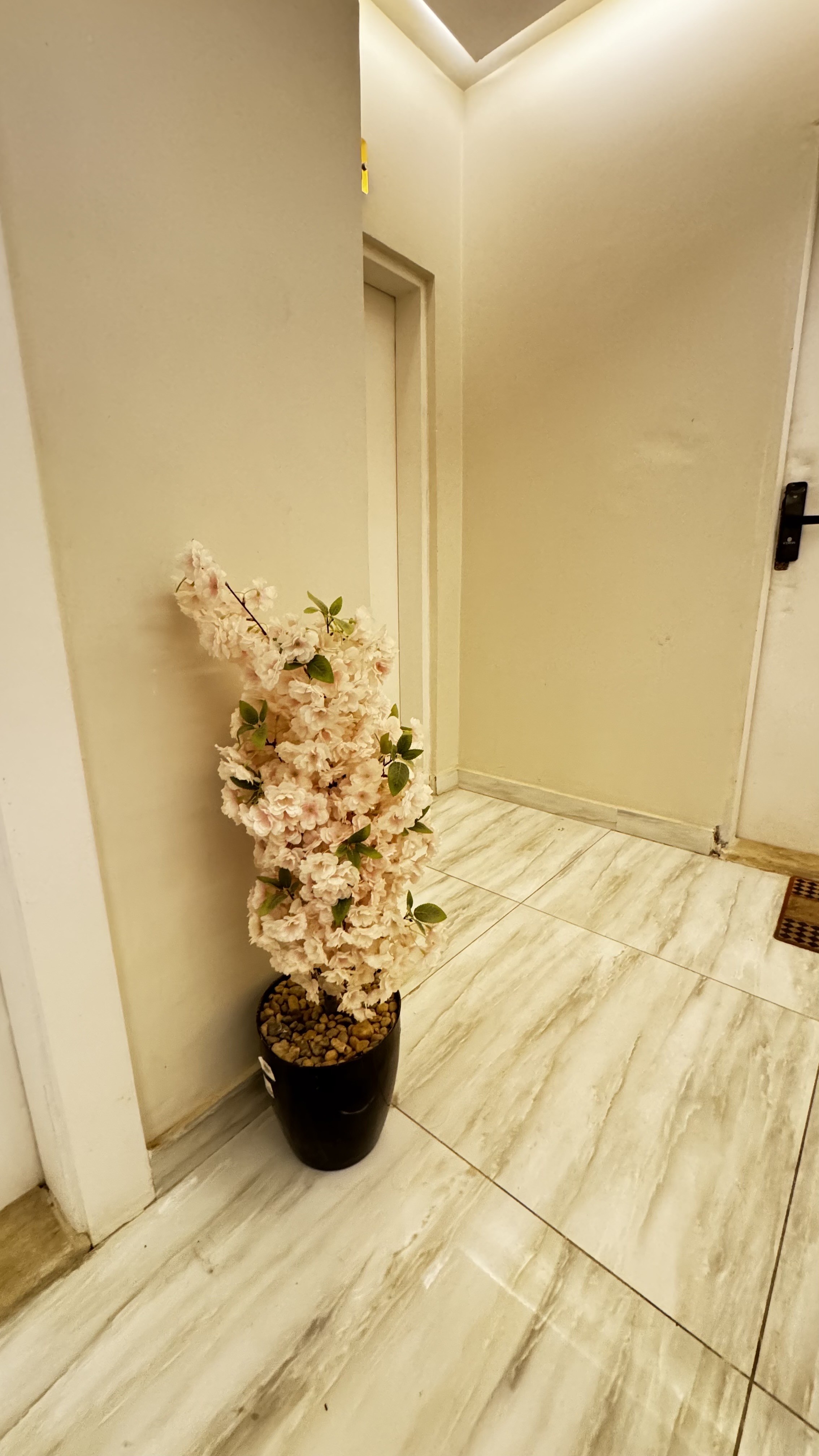 real-estate-image